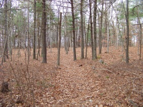 challenging late fall hike