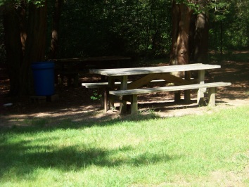rockland town forest picnic area