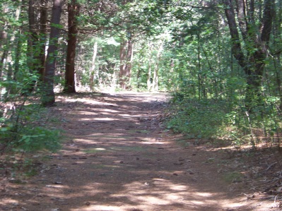 trail to x country ski in rockland