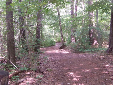 ingeno hiking trail in rockland