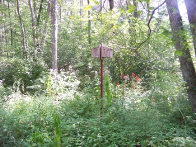 bird houses on hiking trails in Rockland