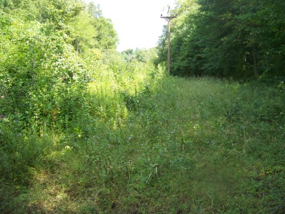 power lines at end of Ingeno hiking trail