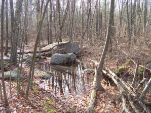 sawyer trail in water