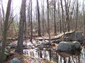 sawyer trail through water