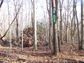 elfin trail blocked by blow downs