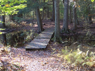 boardwalk over wet area at colby phillips