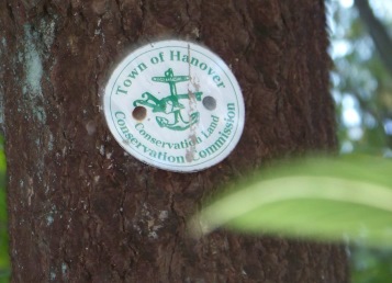 Hanover conservation commission disk