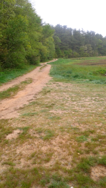 Hiking trail leading into Duxbury Bogs