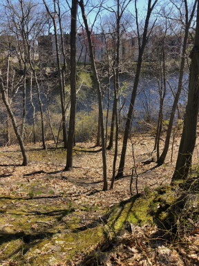 side trail leading to lower pond edge trail