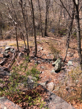 ridge from the top on yellow dot trail