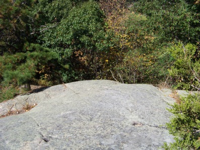 ledge in summer in great brewster woods