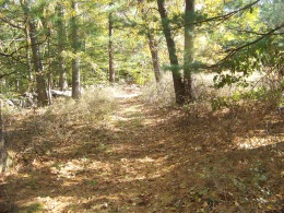boundary trail in fall