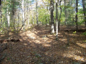 looking down the wiggin trail in holbrook