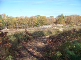 end of wiggin trail leading to cranberry pond