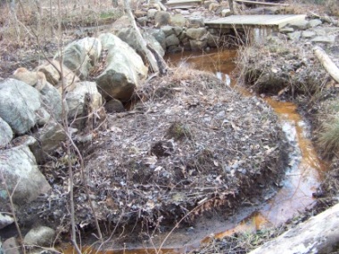 water management on ingeno hiking trail