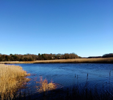 Jones River in Kingston at Mulligan landing