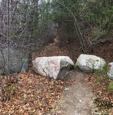 Entering Stump Brook Sanctuary.