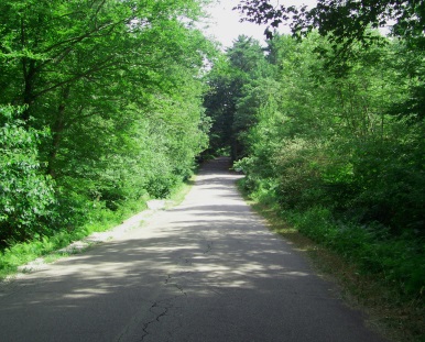 Union St in Wompatuck State Park.