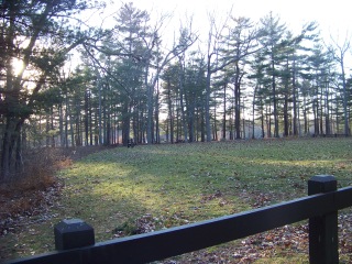 field in main portion of ames nowell state park