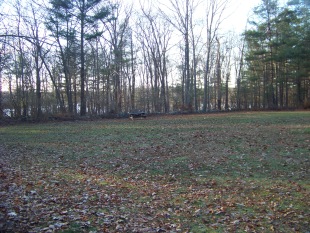 field after pavilion on dog walk trail