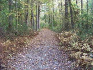 wide easy to hike trail in ames nowell