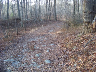 downward sloping rocky dog walk trail in ames nowell