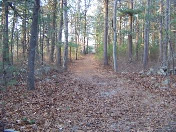 nearing the turning point on the dog walk trail in ames nowell