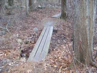 plank walk on 2nd portion of dog walk trail