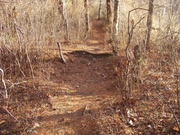 shore trail section of dog walk  in ames nowell