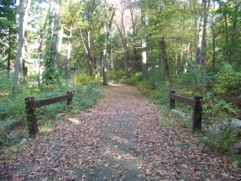 main trail leading into ames nowell state park