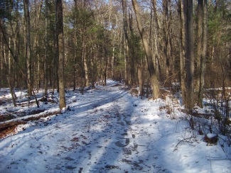 icy dog walk trail in ames nowell