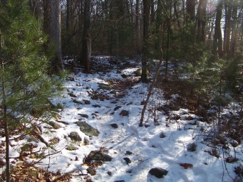 rocky 2nd portion of dog walk trail in ames nowell