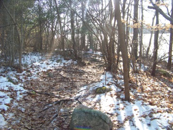 root bound dog walk trail at ames nowell