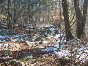 increasingly rocky dog walk trail at ames nowell