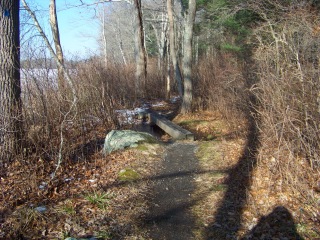 planking at end of dog walk trail in ames nowell