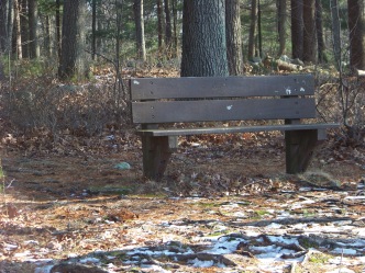 bench at end of dog walk trail at edge of picnic area