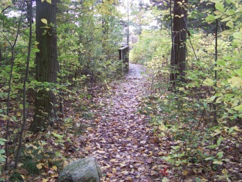 older boardwalk at ames nowell