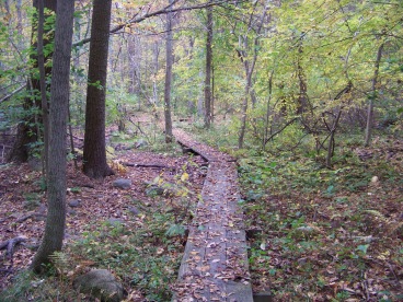 walkway thru wetlands at ames nowell state park