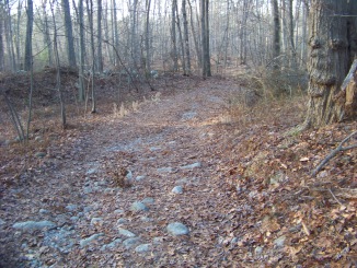 rough walk at ames nowell state park