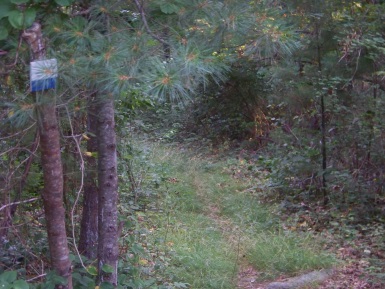 narrow beginning to carl pipes memorial trail