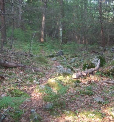 rocky maxwell trail at bates lane conservation area