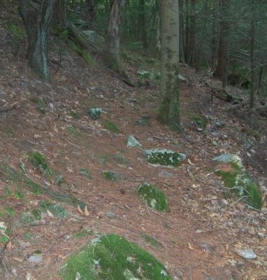 maxwell trail runs along the hillside at bates lane conservation area