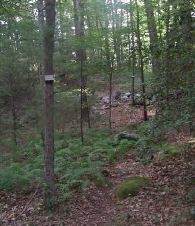 Cut Off trail marked in black at bates lane conservation