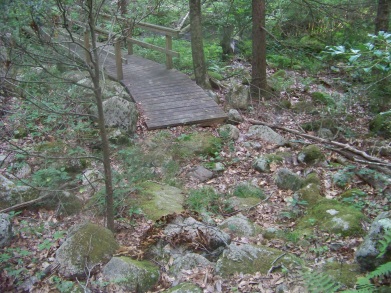 maxwell trail bridge at bates lane conservation area