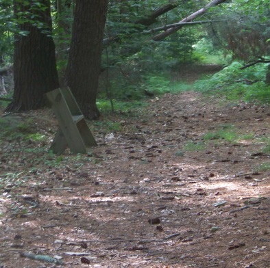 bench at intersection of Horse Trail with Bates Lane Trail