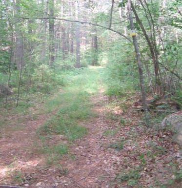 Litchfield Trail from Bates Lane Trail