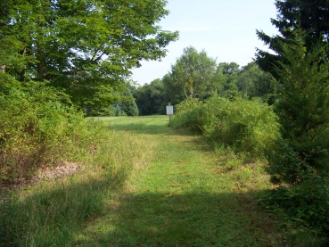 grassy trail through litchfield preservation