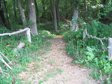 rustic entrance to Litchfield trail