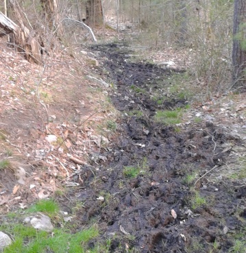 bikes are not allowed on this trail in the turkey hill area