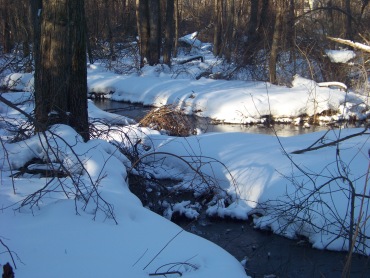 french's stream on blue loop in rockland